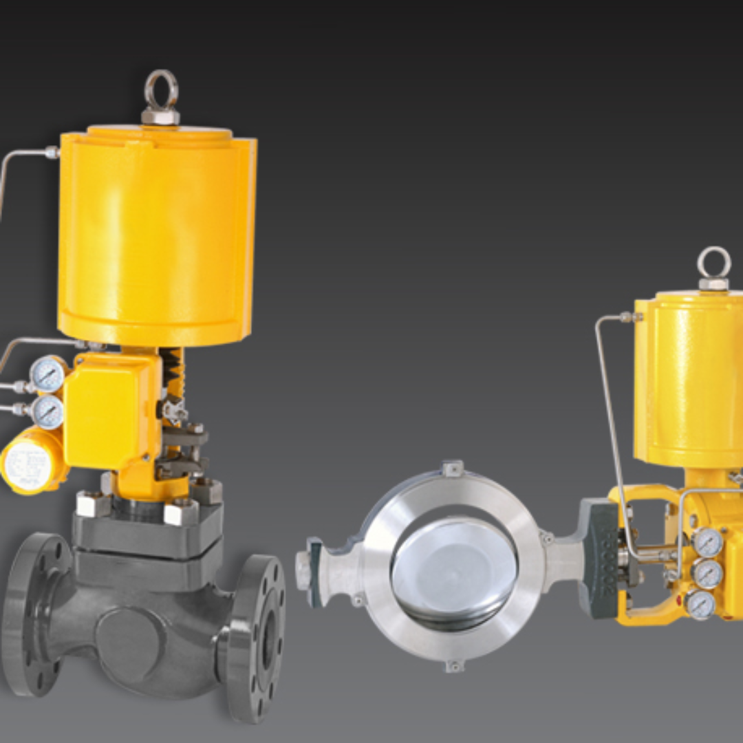 Globe Valves Butterfly Valves Segmented Ball Valves